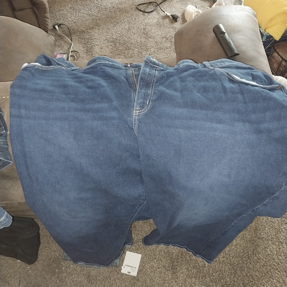 Lane Bryant, 34/36 jeans